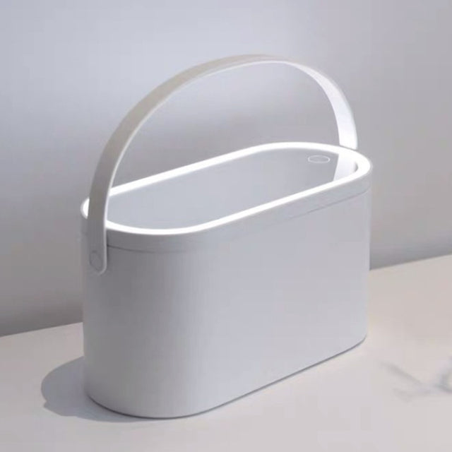 Makeup Organizer Travel Box with Removable LED Mirror