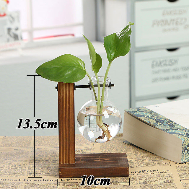 Wood Hanging Propagation Vase