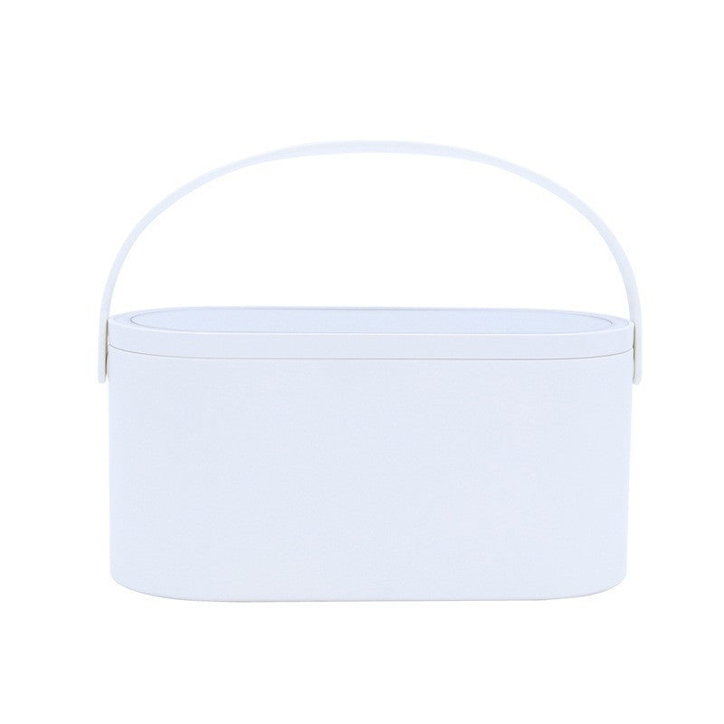 Makeup Organizer Travel Box with Removable LED Mirror