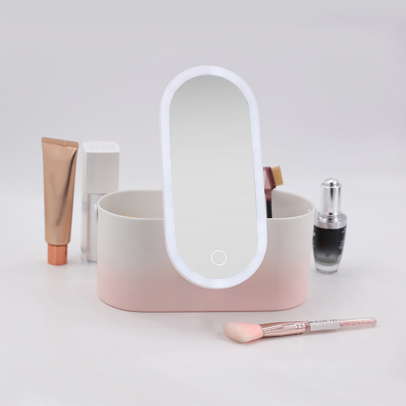 Makeup Organizer Travel Box with Removable LED Mirror