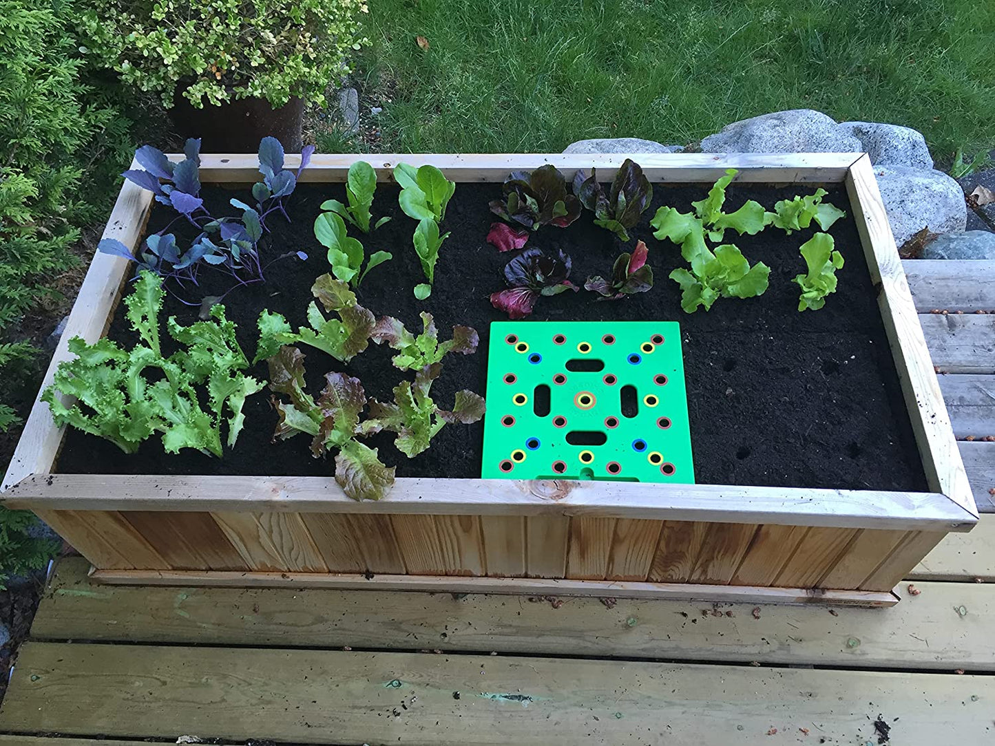 Garden Seeding Square
