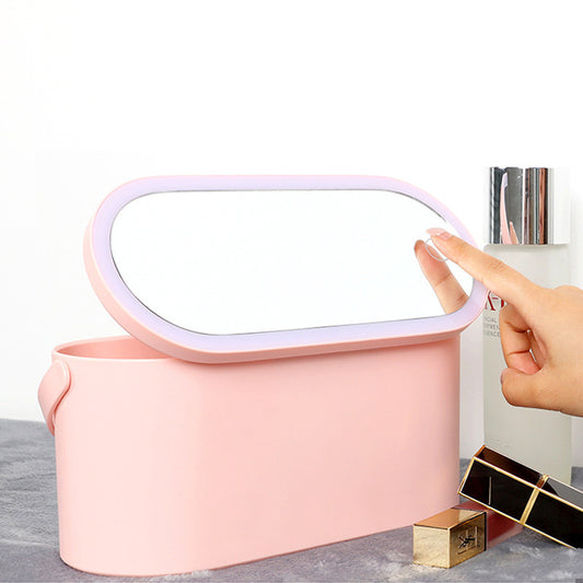 Makeup Organizer Travel Box with Removable LED Mirror