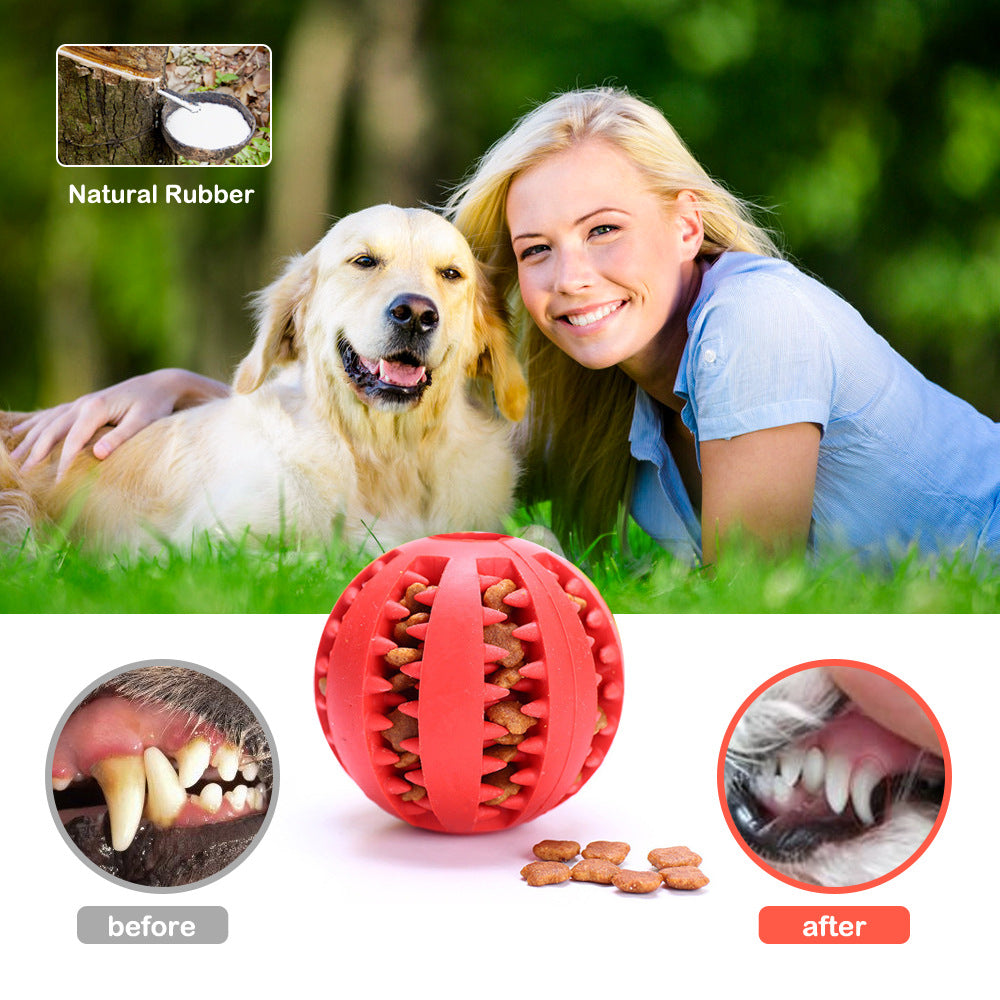 Dog Chew Ball Wedge Snacking Toy