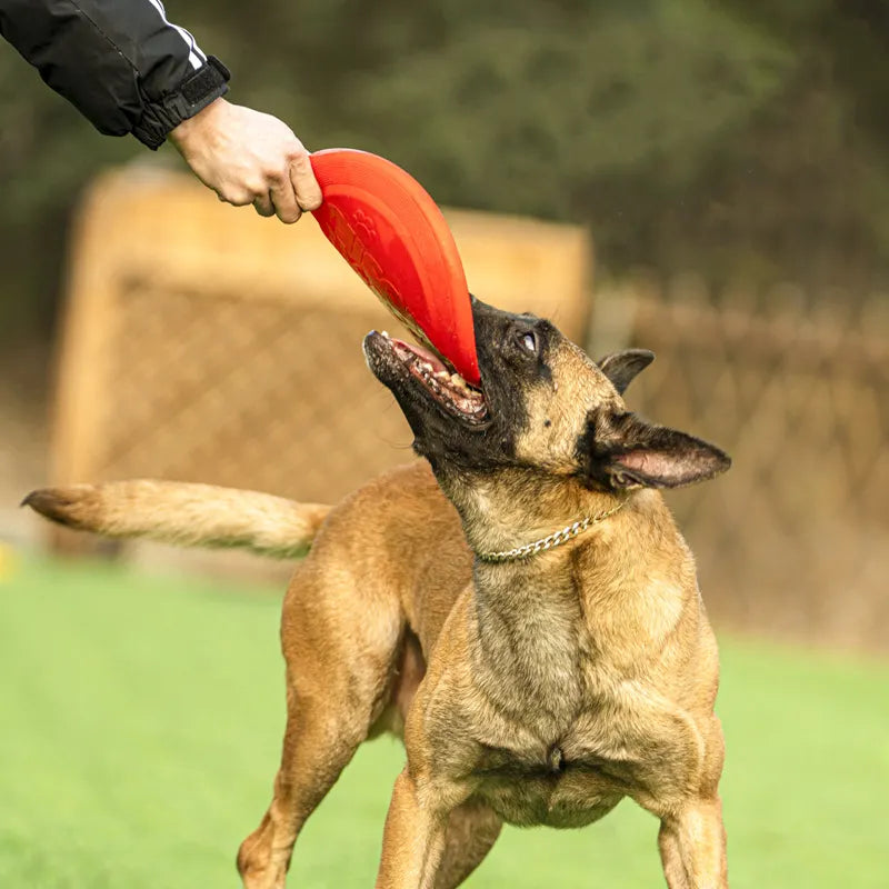 PetToys™- Rubber Flying Disc
