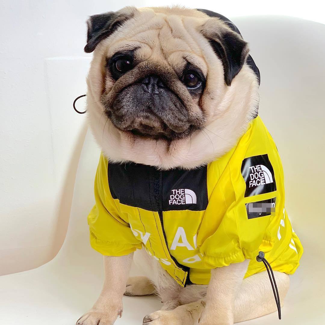 The Dog Face Waterproof Windbreaker