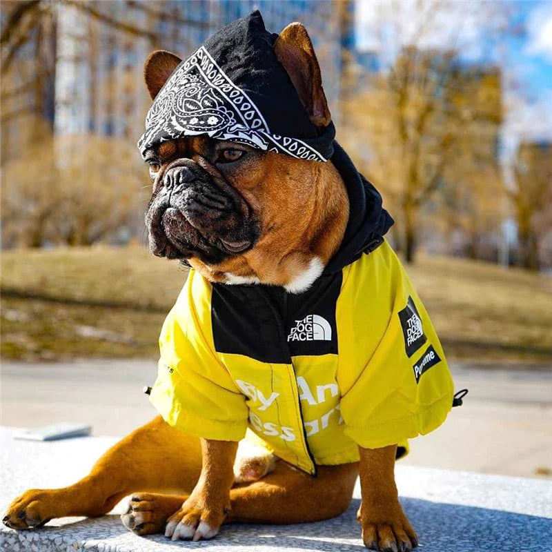 The Dog Face Waterproof Windbreaker
