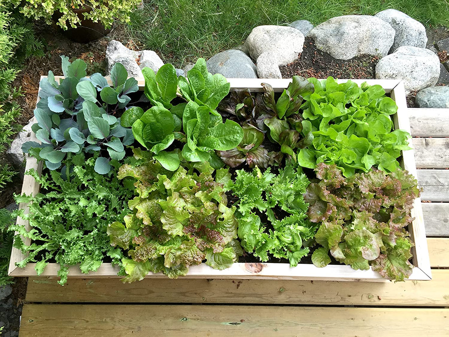 Garden Seeding Square
