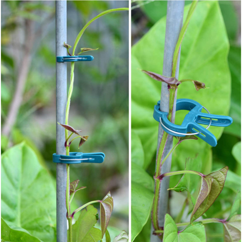 Reusable Garden Plant Clips